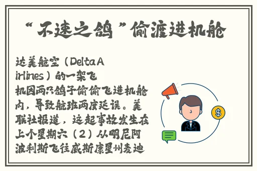 机对机软件免费视频下载大全